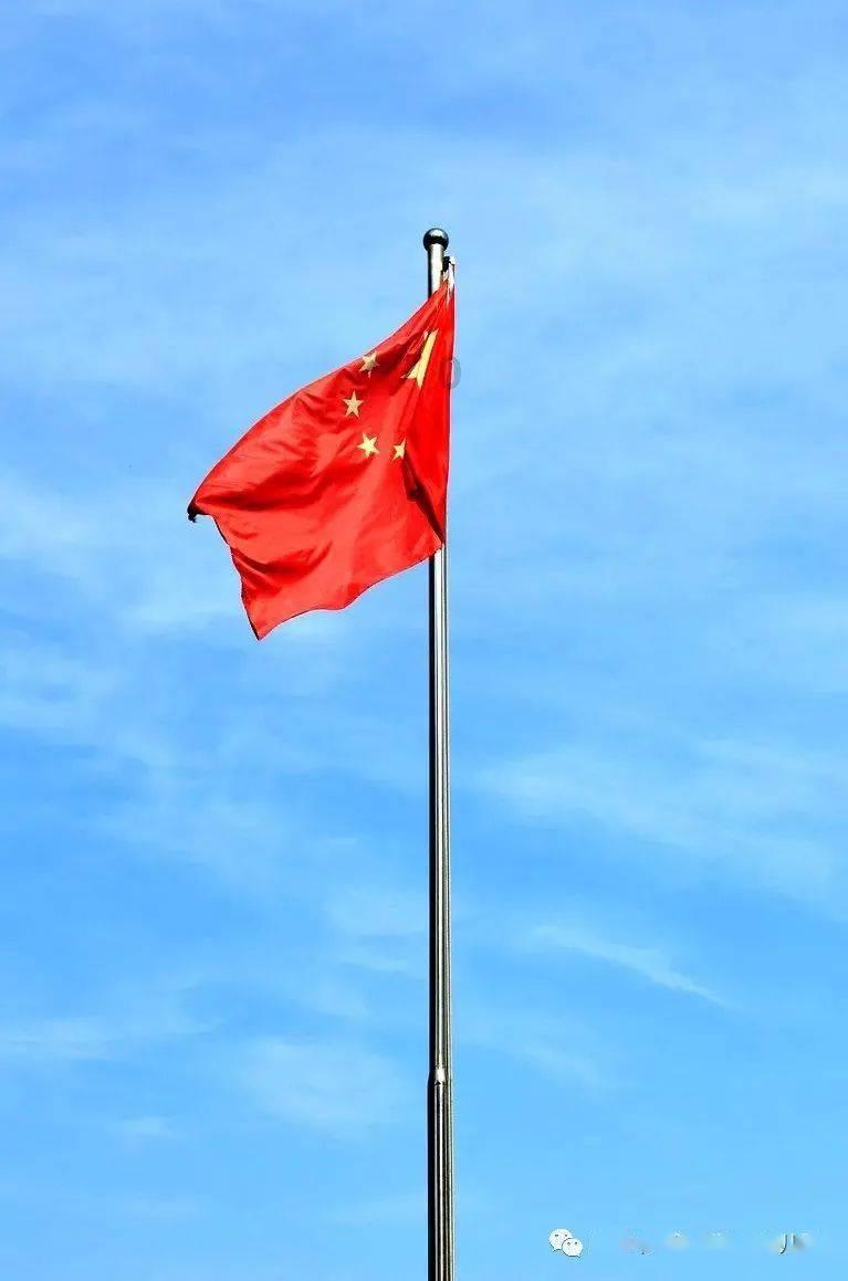 阴暗森林